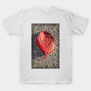 Leaf T-Shirt